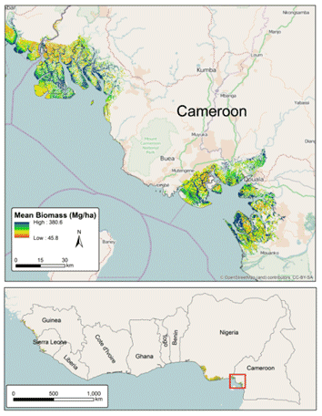 Cameroon map