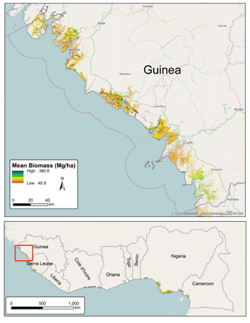 Guinea map