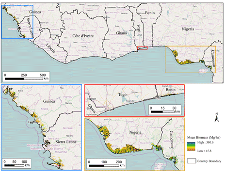 mangrove map